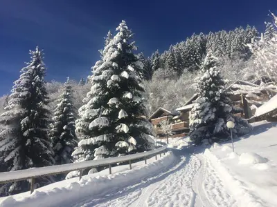 L'établissement Campanule en hiver