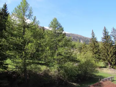 Paysage naturel près de l'appartement