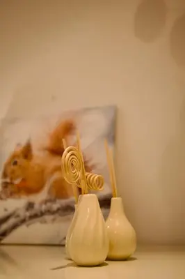Plan de l'établissement L'Eterlou, 2 minutes à pied des télécabines, Paradiski, Belle vue