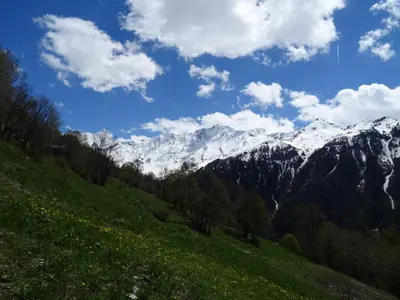 Paysage naturel près de l'appartement