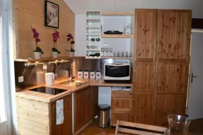 Cuisine ou kitchenette dans l'établissement Résidence Le Dahu - 3 Pièces pour 6 Personnes MAE-3319