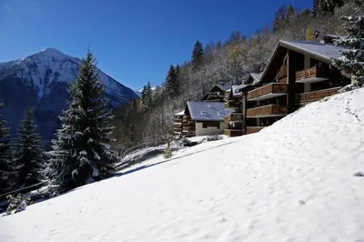 Plan de l'établissement Résidence Ancolie - Les Hauts De Planchamp - Studio pour 6 Personnes MAE-3324
