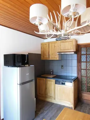 Cuisine ou kitchenette dans l'établissement Chalet Fleur De Neige - 2 Pièces pour 5 Personnes MAE-3334