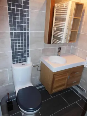 Salle de bains dans l'établissement Chalet Fleur De Neige - 2 Pièces pour 4 Personnes MAE-3342