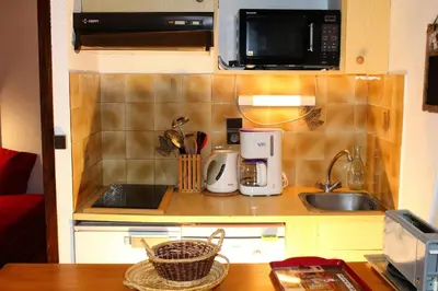 Cuisine ou kitchenette dans l'établissement Résidence Campanule - Les Hauts De Planchamp - Studio pour 3 Personnes MAE-3348