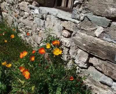Jardin de l'établissement Chalet Le Cordava