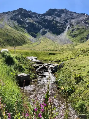 Paysage naturel près de l'appartement