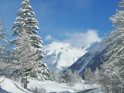 L'établissement Chez Mamie Anna (B&B et Chalet) en hiver