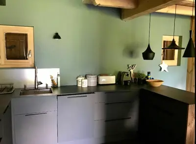 Cuisine ou kitchenette dans l'établissement Chalet SACHE - Sainte foy tarentaise