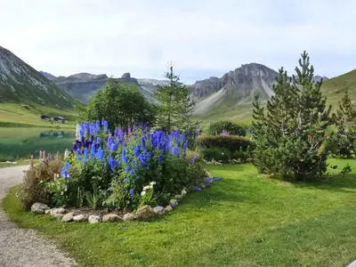 Paysage naturel près de l'appartement