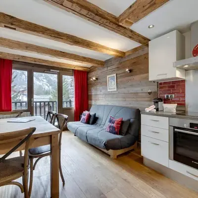 Appartement rénové 1 chambre + alcôve