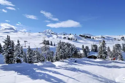 L'établissement Résidence Aigue-marine - Appartement chaleureux · Accès direct aux pistes · Vue pistes MAE-3678 en hiver