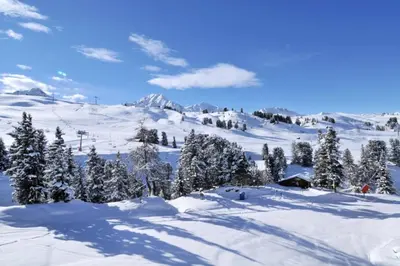 L'établissement Résidence Aigue-marine - Studio agréable · Accès direct aux pistes MAE-3741 en hiver