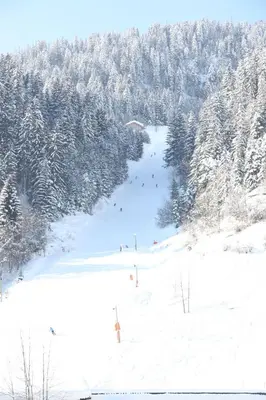 L'établissement Les Chalets du Bouquetin - Mouflon en hiver