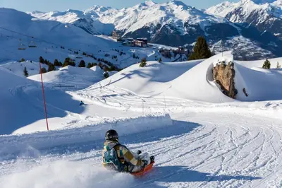 L'établissement Les Chalets du Bouquetin - Mouflon en hiver