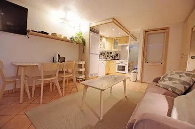 Cuisine ou kitchenette dans l'établissement Résidence Palafour - Studio 4 rénové, confort moderne - balcon vue lac MAE-8175