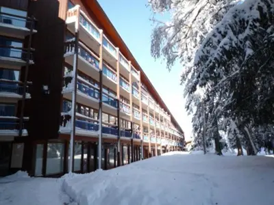 L'établissement Appartement 2 pièces pour 5 au centre d'Arc 1800, pied des pistes, animaux admis - FR-1-411-785 en hiver