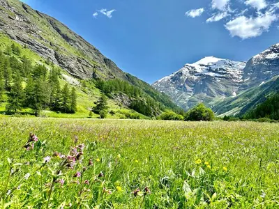 Paysage naturel près de l'appartement