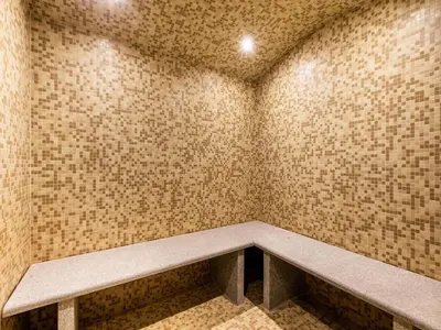 Plan de l'établissement Luxurious chalet in the heart of Vanoise