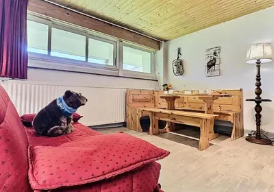 Animal ou animaux domestique(s) séjournant avec des clients dans l'établissement Résidence Neige Et Soleil - Studio 4 personnes à Tignes au pied des pistes et proche des commerces dans le quartier du Rosset. Studio très bien agencé avec MAE-1806