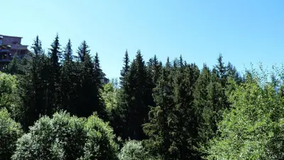 Paysage naturel près de l'appartement
