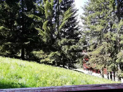 Jardin de l'établissement Résidence Archeboc - Appartement 5 personnes à Arc 1800 proche des pistes dans le village de Charmettoger MAE-1925
