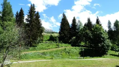 Paysage naturel près de l'appartement