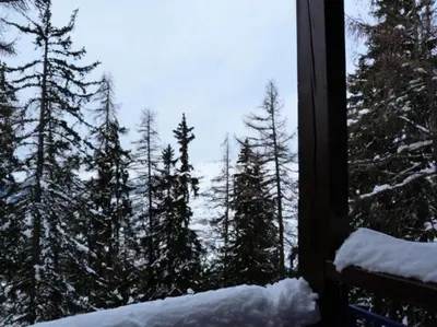 L'établissement Résidence Alliet - Duplex pour 5 personnes proche des pistes et des commerces dans le village de Charmettoger MAE-1904 en hiver