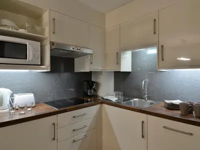 Cuisine ou kitchenette dans l'établissement Appartement rénové avec balcon, ski aux pieds, animaux acceptés - FR-1-181-2028