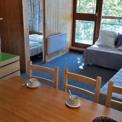 Appartement 2 pièces · Balcon · Wifi gratuit - FR-1-346-407