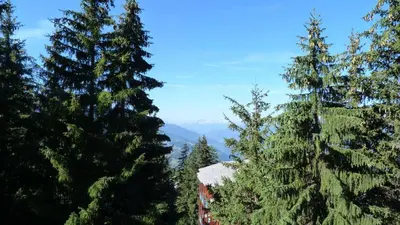Paysage naturel près de l'appartement