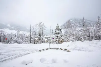 L'établissement Balcons B 014 - PARC NAT VANOISE appart 6 pers en hiver