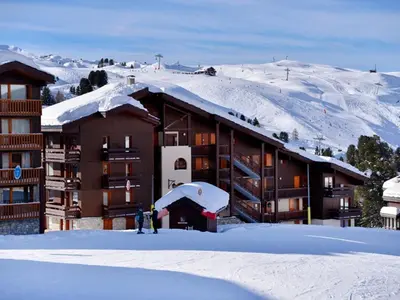 L'établissement Studio pratique 3/4 pers, pied des pistes, animaux admis - FR-1-181-2276 en hiver