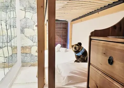 Salle de bains dans l'établissement Résidence Le Cafetan - CHARMANT APPARTEMENT AU COEUR DES CHARTREUX MAE-5752