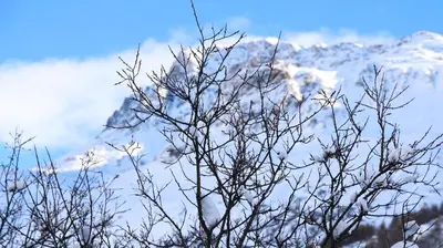 Vue générale sur la montagne ou vue sur la montagne depuis le séjour chez l'habitant