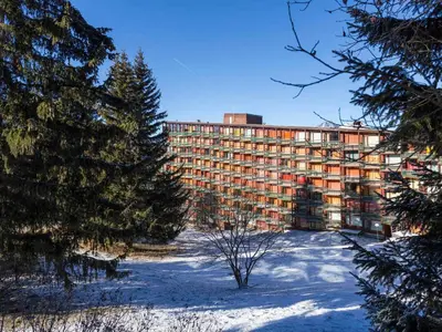 L'établissement Studio rénové 5 pers, ski aux pieds, balcon, animaux admis - FR-1-346-436 en hiver