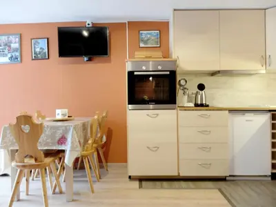 Cuisine ou kitchenette dans l'établissement Studio ski aux pieds, balcon, animaux admis - FR-1-502-458