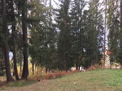 Paysage naturel près de l'appartement