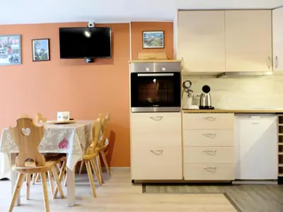 Cuisine ou kitchenette dans l'établissement Résidence Palafour - Studio exposé sud au coeur de la station MAE-2154