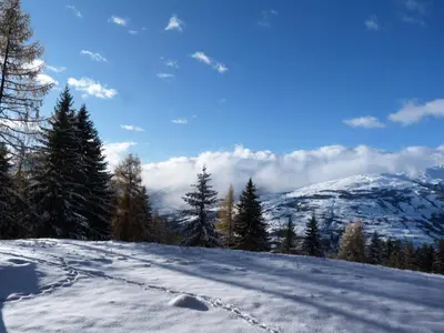 Paysage naturel près de l'appartement