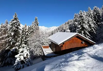 L'établissement Chalet Camomille - Confortable chalet dans un quartier calme avec une vue imprenable sur la vallée et le Mont Blanc MAE-0967 en hiver