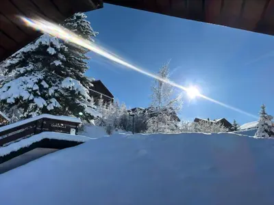 L'établissement Chalet Camomille - Confortable chalet dans un quartier calme avec une vue imprenable sur la vallée et le Mont Blanc MAE-0967 en hiver