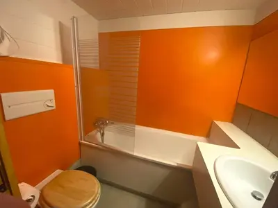 Salle de bains dans l'établissement Appartement cosy, proche centre, balcon, vue Mont Blanc - FR-1-346-483