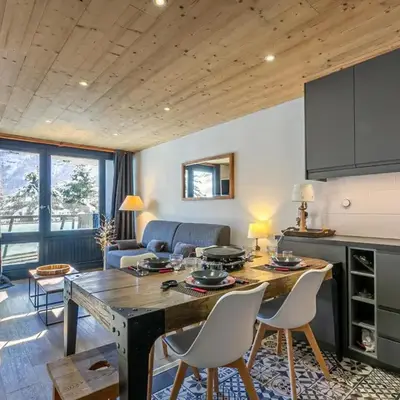 Appartement cosy au pied des pistes