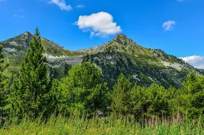 Paysage naturel près de l'appartement