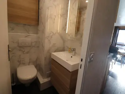 Salle de bains dans l'établissement Studio lumineux rénové avec balcon - Proche pistes - FR-1-502-443