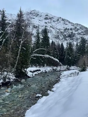 Paysage naturel près de le chalet