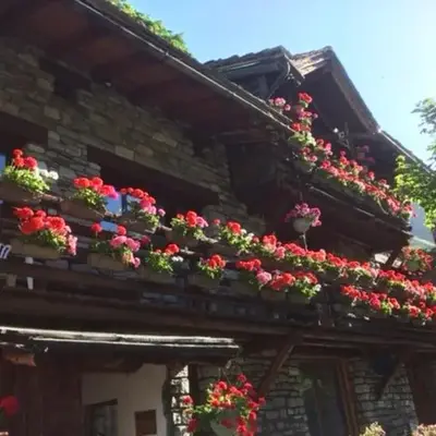Le p'tit coin montagne