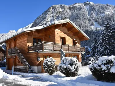 Vue générale sur la montagne ou vue sur la montagne depuis l'appartement