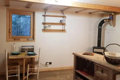 Cuisine ou kitchenette dans l'établissement Studio en lisière de forêt
